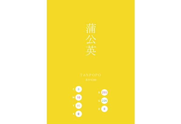 TANPOPO 蒲公英　日本の伝統色 Traditional Colors of Japan